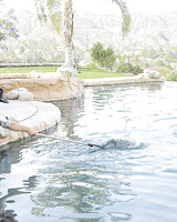 Hardcore fuck of a hot Latina brunette Kimberly Kendall in a lake